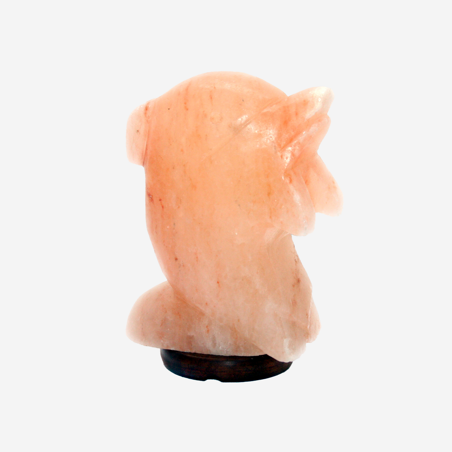 Dolphin Shape Himalayan Salt Lamp