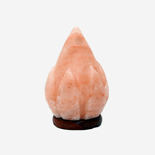 Fire Shape Himalayan Salt Lamp