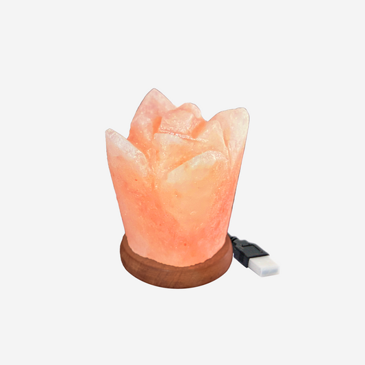 Flower Shape Himalayan Salt USB Lamp