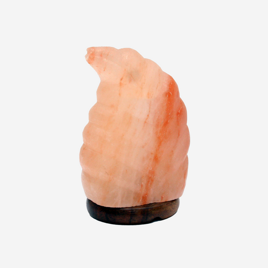 Leaf Shape Himalayan Salt Lamp